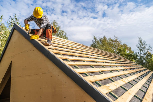 Best Roof Gutter Cleaning  in Timberlake, VA