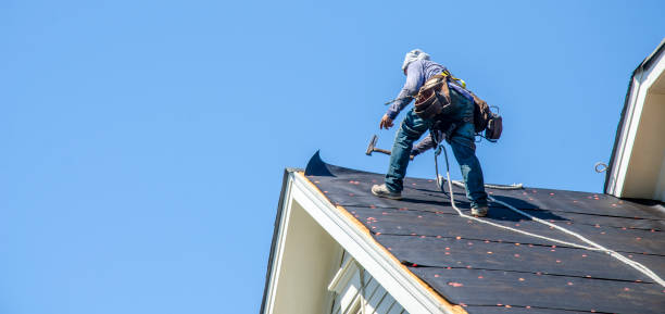 Best Roof Gutter Cleaning  in Timberlake, VA